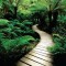 path-300x300[1]