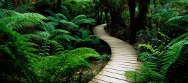nature_b_1600[1]