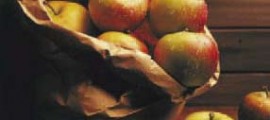 pl_summer_web_page_06_image_0001[1]