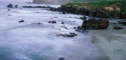 pl_summer_web_page_08_image_0002[1]