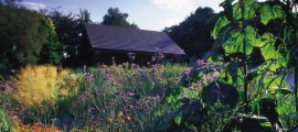 pl_summer_web_page_14_image_0001[1]