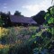 pl_summer_web_page_14_image_0001[1]