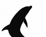 pl_full_web_page_42_image_0001-150x150[1]