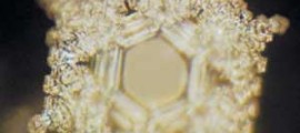 gratitude-water-crystal[1]