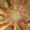 istock_000002904280medium-150x150[1]