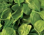 istock_000002947659small-150x150[1]