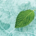 istock_000003968148xsmall