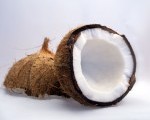kokosnuss-coconut-150x150[1]