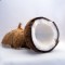 kokosnuss-coconut-150x150[1]