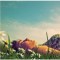 lie_in_by_lazy_summer_haze-150x150[1]