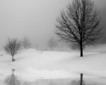 istock_000003248305mediumcopy-150x150[1]