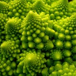 Spring Recipes - 2010