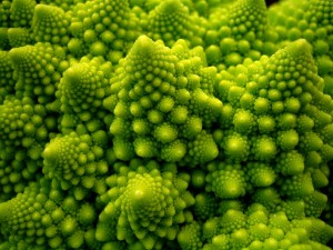 best-picture-gallery-macro-vegetable-cauliflower-viel-gesundes-grun-tin-g