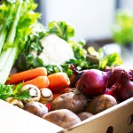 Growing Your Own Organic Vegtables