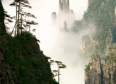 istock_buddhas_palm_mtmist8072325small-164x300[1]