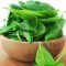 SPINACH-150x150[1]