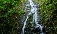 HawNature-140_91MB-199x300[1]