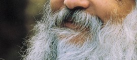 osho-ready-for-winter