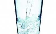 iStock_000013912225Medium-199x300[1]