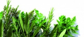 iStock_000007460643Medium-300x199[1]