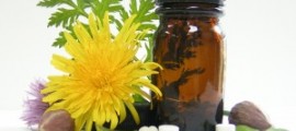 homeopathy-stockexhng-300x237[1]