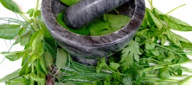 Herbs for Positive Health