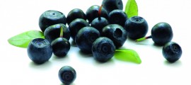 What’s so Super about Superfoods?