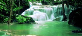 The Natural Detox