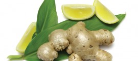 Ginger_Lemon