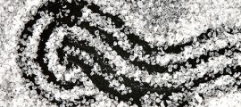 Shaw_Salt_2-14_post