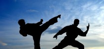 Tai-Chi-Shadows-image