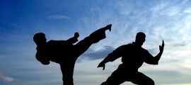 Tai-Chi-Shadows-image
