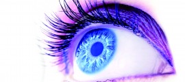iStock_000016111777Small