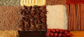 Ayurveda to go2