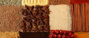 Ayurveda to go2