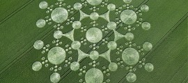 Crop Circle, Photo caption_Steve Alexander