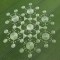 Crop Circle, Photo caption_Steve Alexander