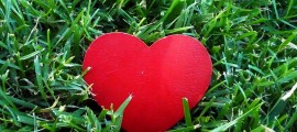 LoveEarth2