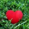 LoveEarth2