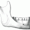 jaw