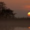 Autumnal Reflections from Astrologer Andrew Smith Setting sun is dissapearing behind reed