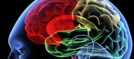 brain optimisation technology