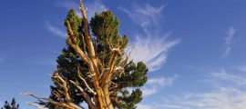 sustainable living examples