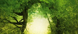 fairies and healing Ireland