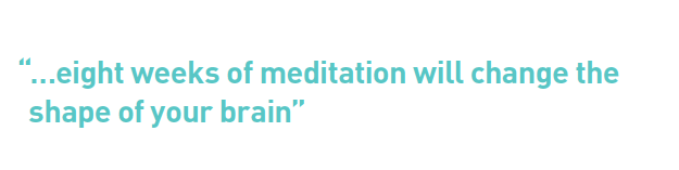 meditation facts