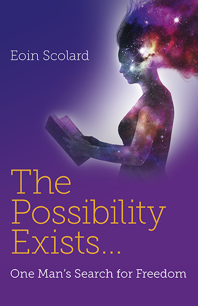 The Possibility exists book