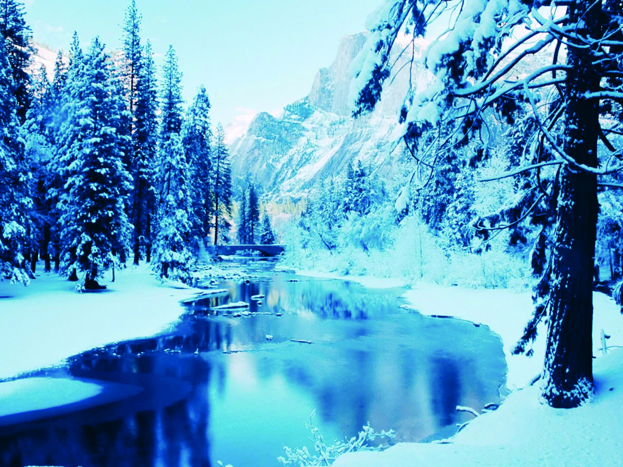 Best winter. Винтер Сноу. Природа зима. Красивая зима. Зимний лес.