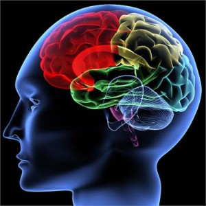 brainwave optimisation technologies and training