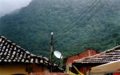 Amazonian ayahuasca experiences Ayahuasca awakening ceremonies