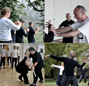 tai chi tracher training